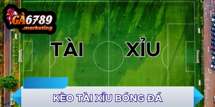 Hiểu Rõ Cơ Chế Vận Hành Và Chiến Thuật Chơi Kèo Tài Xỉu Ga6789 