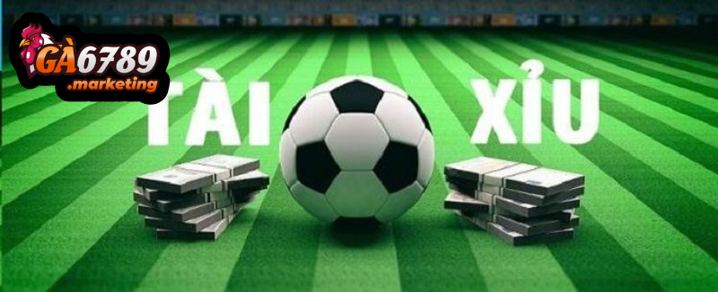 Phân Loại Giải Đấu Và Bí Quyết Chọn Cửa Tài Xỉu Chuẩn Xác 